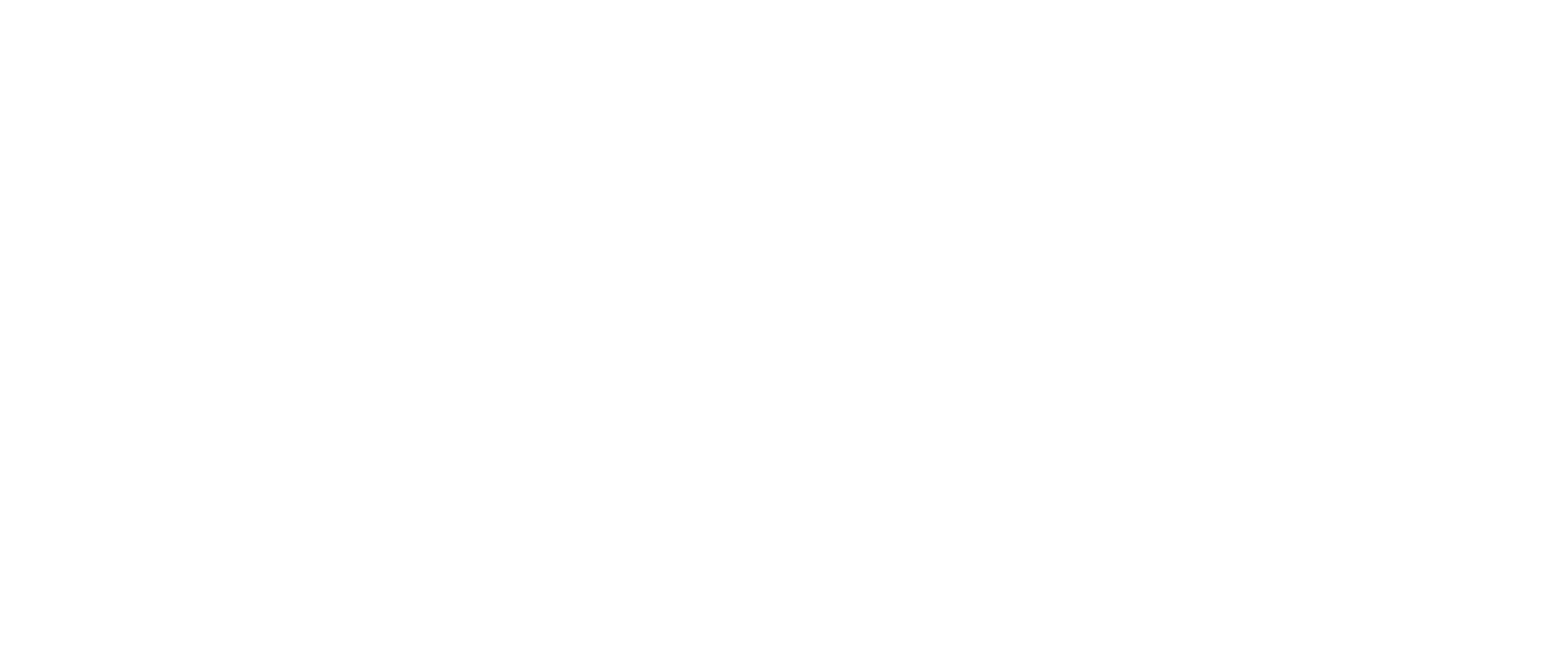 Spearhead_LOGO_WHITE